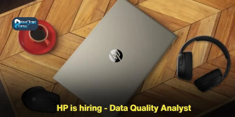 Data Quality Analyst
