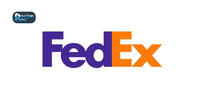 data analyst